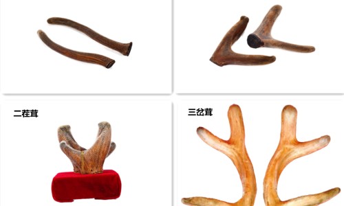 泌感病-泌感是什么症状专区_泌感是什么病专区_泌感症状网